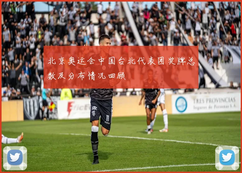 北京奥运会中国台北代表团奖牌总数及分布情况回顾
