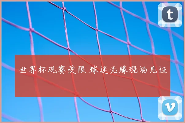世界杯观赛受限 球迷无缘现场见证
