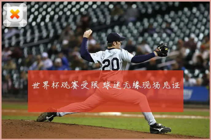 世界杯观赛受限 球迷无缘现场见证