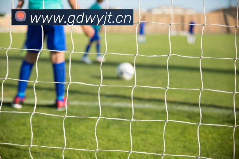 开云手机web版登录入口 - 开云(中国)平台生态图