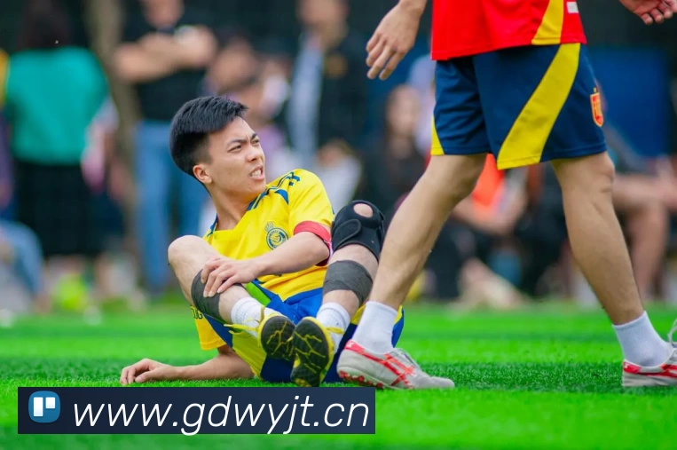 开云手机站官方版网站登录入口 - 开云(中国)服务体系